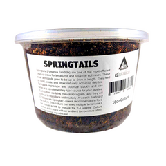 Springtails